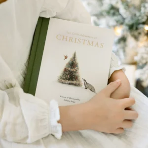 Our Little Adventure at Christmas - Нашата мала Божиќна авантура